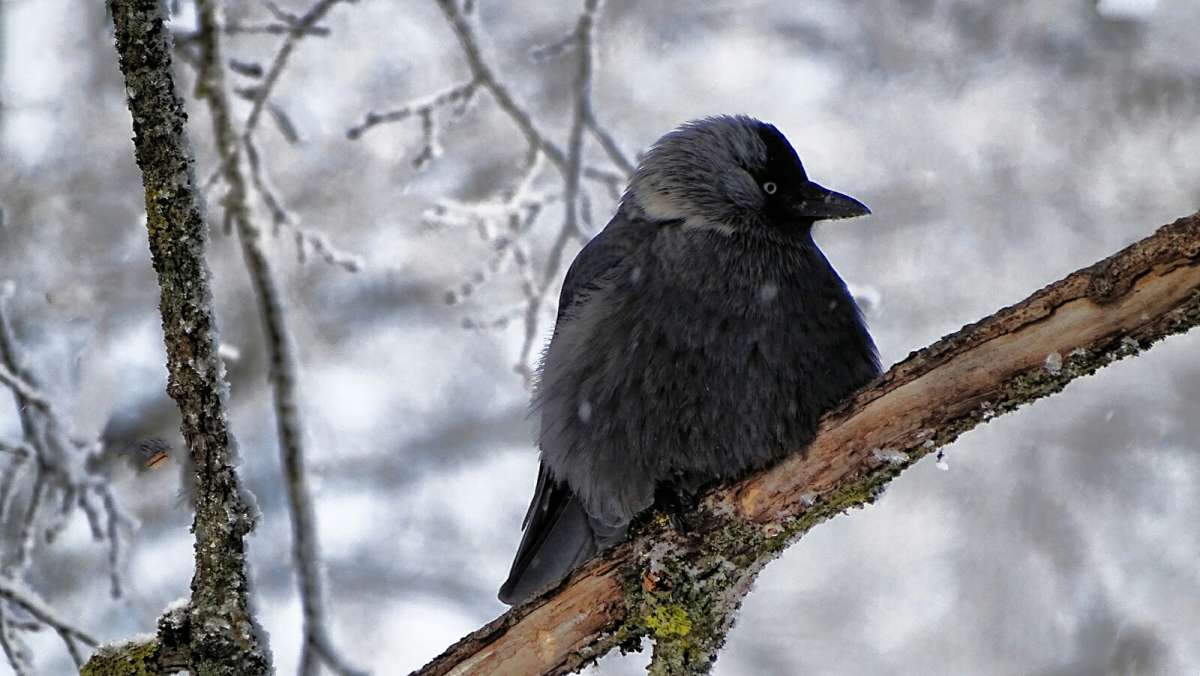 ����� �������. ����� �������� �������� �� PhotoGeek.ru #����� #�������� ���