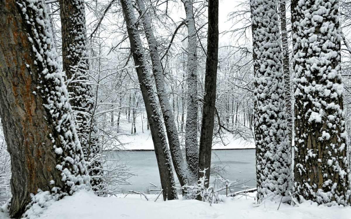 ������ �����. ����� �������� �������� �� PhotoGeek.ru #����� #������ ��� �������