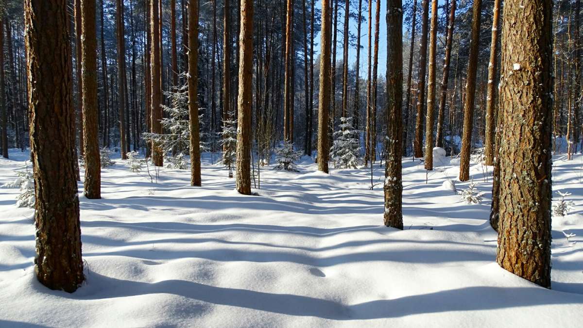 ���� � ����. ����� �������� �������� �� PhotoGeek.ru #������ ��� �������