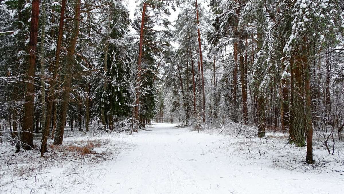 ������� ������� ����. ����� �������� �������� �� PhotoGeek.ru #������ ��� �������