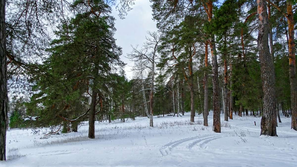 ��� ����. ����� �������� �������� �� PhotoGeek.ru #������ ��� �������