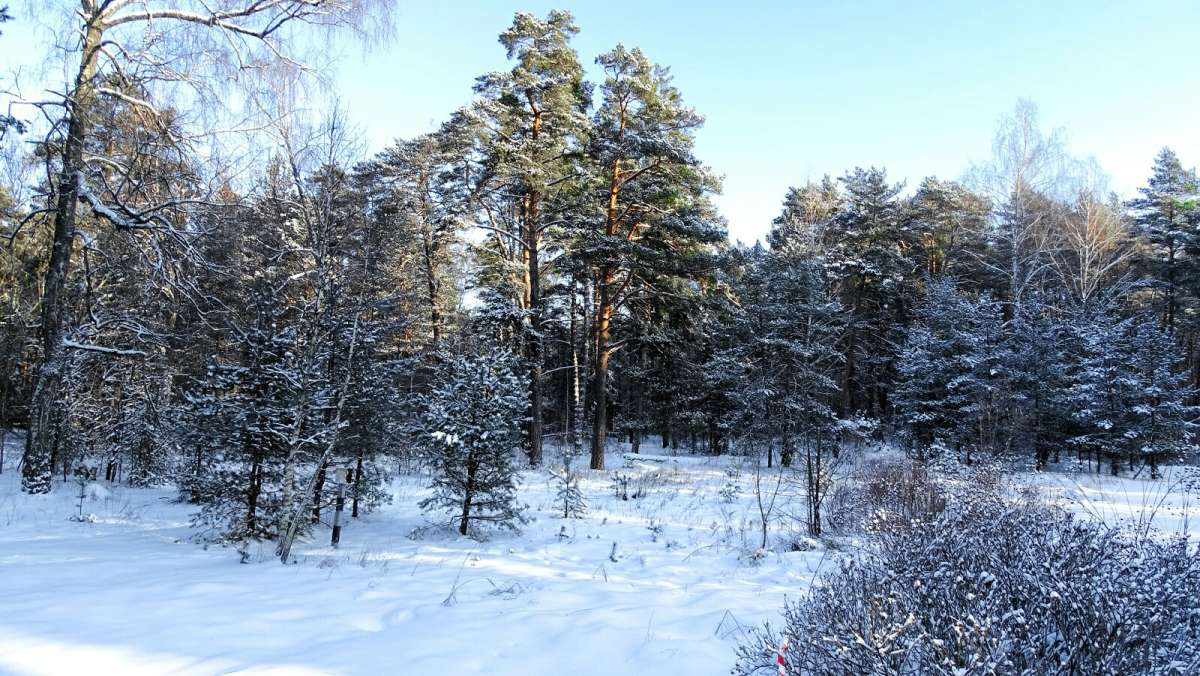 ������ ������. ����� �������� �������� �� PhotoGeek.ru #������ ��� �������