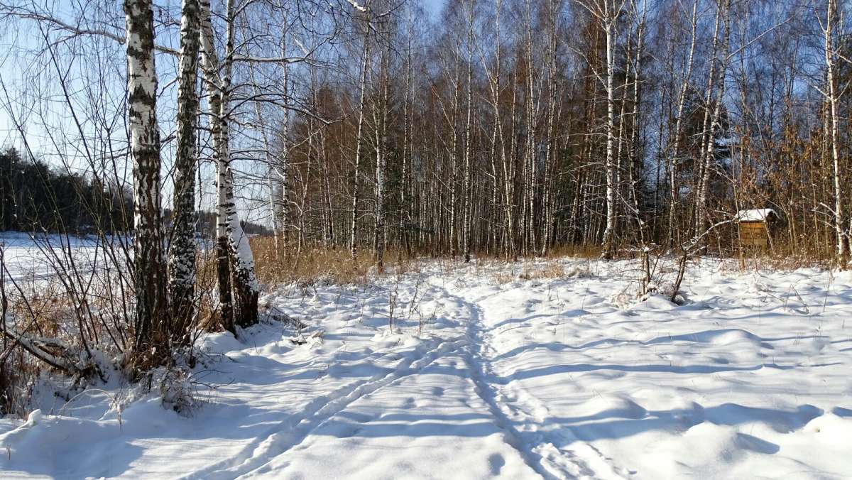 ��������� ���� ������. ����� �������� �������� �� PhotoGeek.ru #������ ��� �������