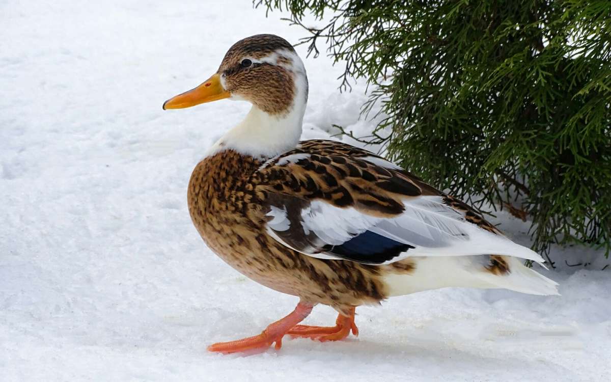 ������ �� ������� ������� ������. ����� �������� �������� �� PhotoGeek.ru #����� #�������� ���