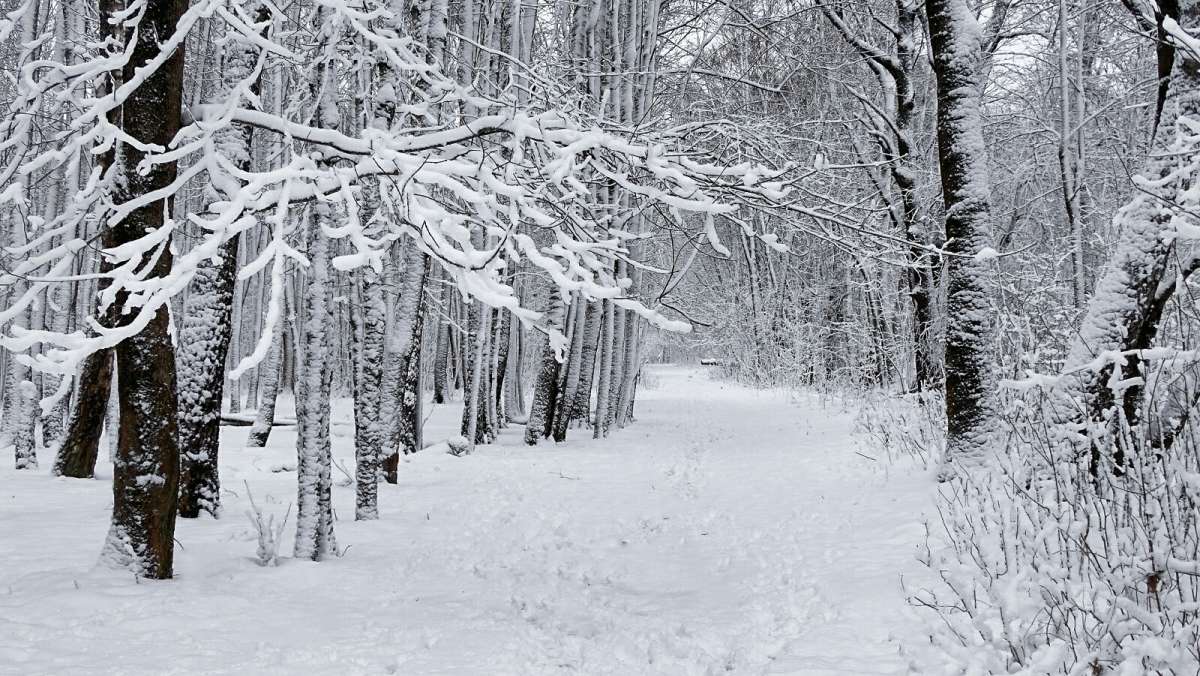 ���� ������. ����� �������� �������� �� PhotoGeek.ru #������ ��� �������