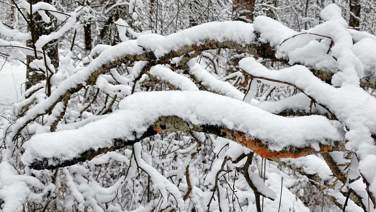 �������� ����. ����� �������� �������� �� PhotoGeek.ru #����� #������ ��� �������