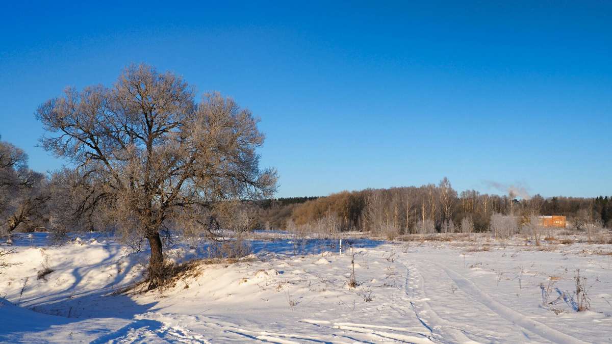 ������, ������� �� ����. ����� �������� �������� �� PhotoGeek.ru #������ ��� �������