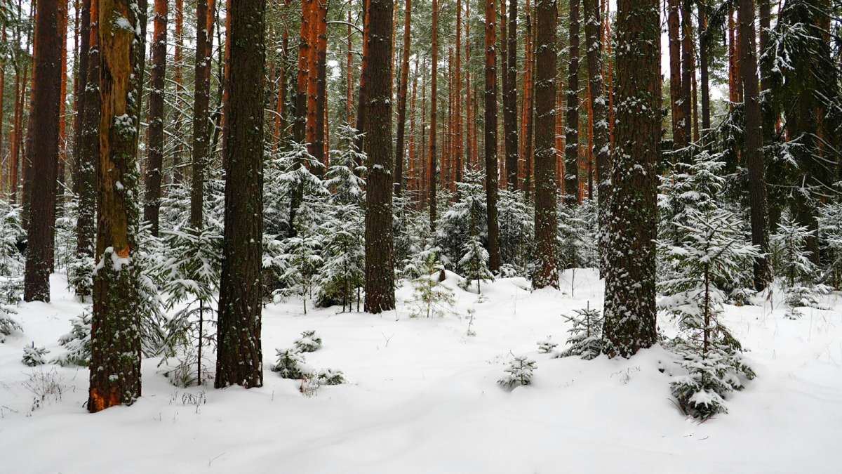 ��� ���������� ����. ����� �������� �������� �� PhotoGeek.ru #������ ��� �������