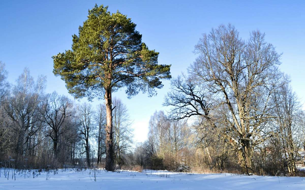 ������� ��� � �����. ����� �������� �������� �� PhotoGeek.ru #������ ��� �������