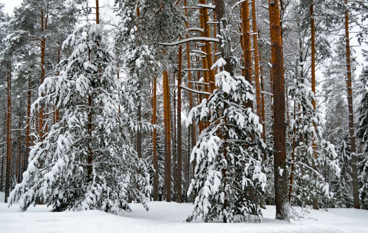 ���� � �������� ����. ����� �������� �������� �� PhotoGeek.ru #������ ��� �������