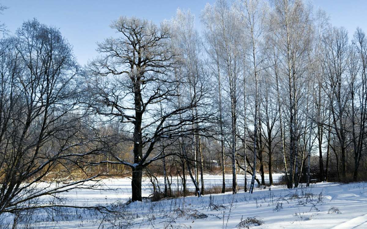 ����������� ���. ����� �������� �������� �� PhotoGeek.ru #������ ��� �������