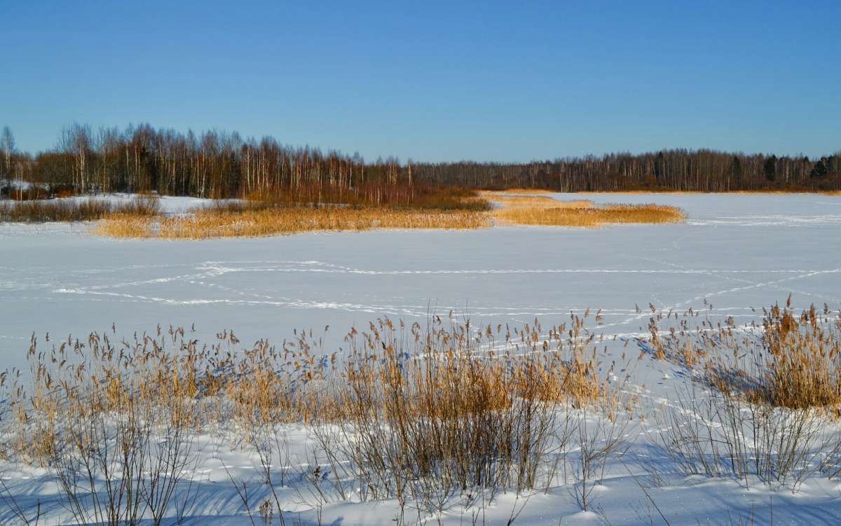 ������ ������. ����� �������� �������� �� PhotoGeek.ru #������ ��� �������