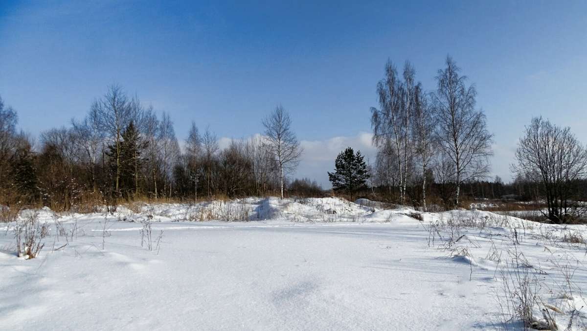 ��� ���������� ����. ����� �������� �������� �� PhotoGeek.ru #������ ��� �������