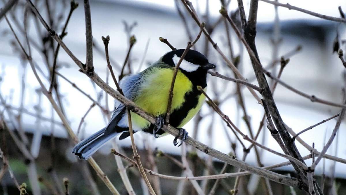 ������� ������. ����� �������� �������� �� PhotoGeek.ru #����� #�������� ���