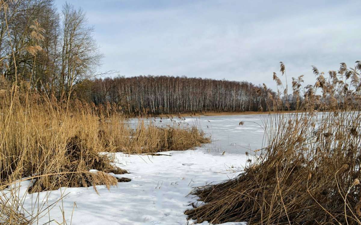 ���� - �������. ����� �������� �������� �� PhotoGeek.ru #������ ��� �������