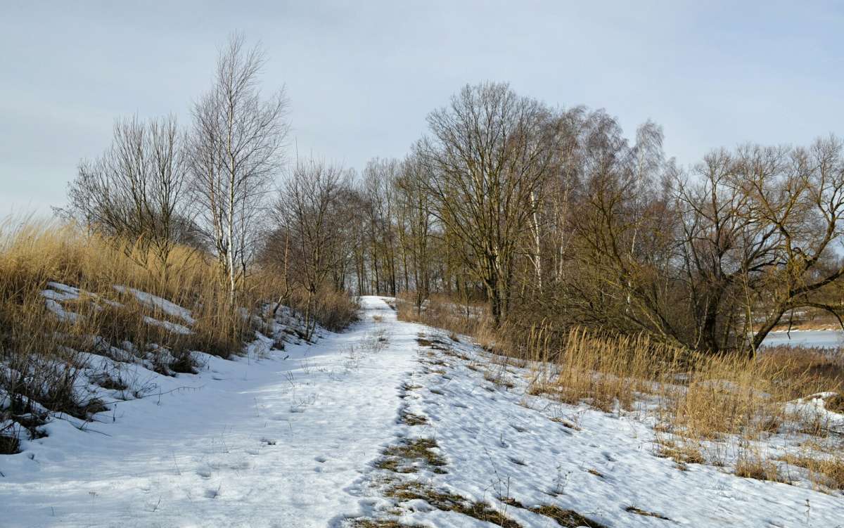 ��� ����. ����� �������� �������� �� PhotoGeek.ru #������ ��� �������