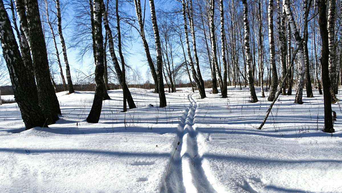 ������ �� �����. ����� �������� �������� �� PhotoGeek.ru #������ ��� �������
