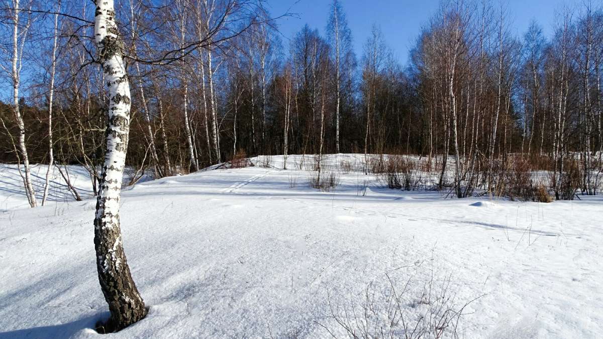 ������ ������. ����� �������� �������� �� PhotoGeek.ru #������ ��� �������