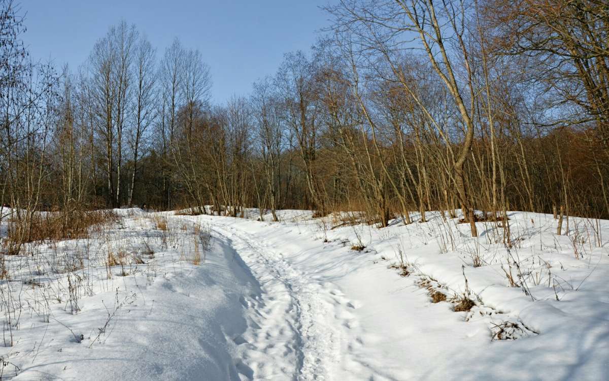 ��� ����. ����� �������� �������� �� PhotoGeek.ru #������ ��� �������