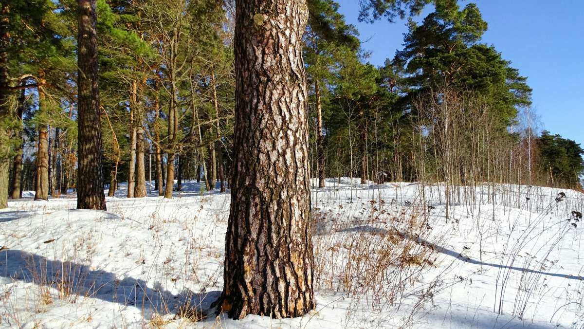 ����� ������ �������. ����� �������� �������� �� PhotoGeek.ru #������ ��� �������