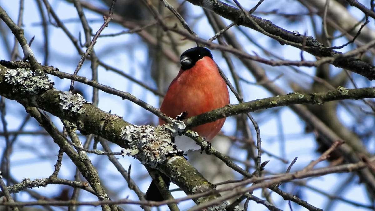 �������� - �������. ����� �������� �������� �� PhotoGeek.ru #�������� ���