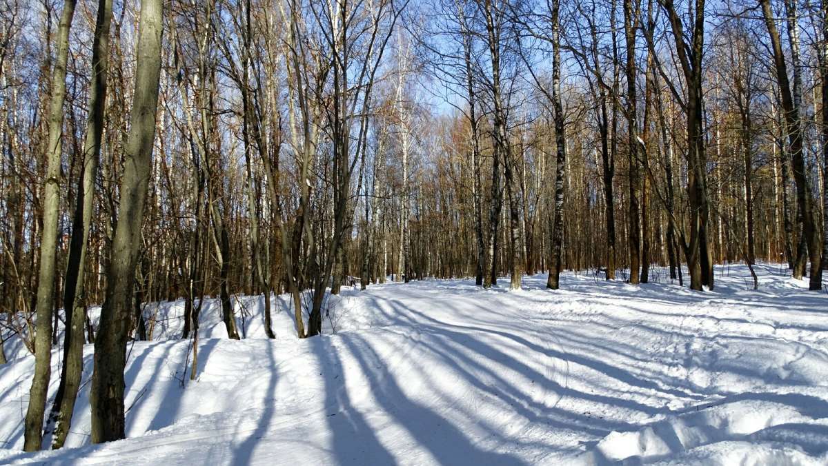 ����������� �����. ����� �������� �������� �� PhotoGeek.ru #������ ��� �������