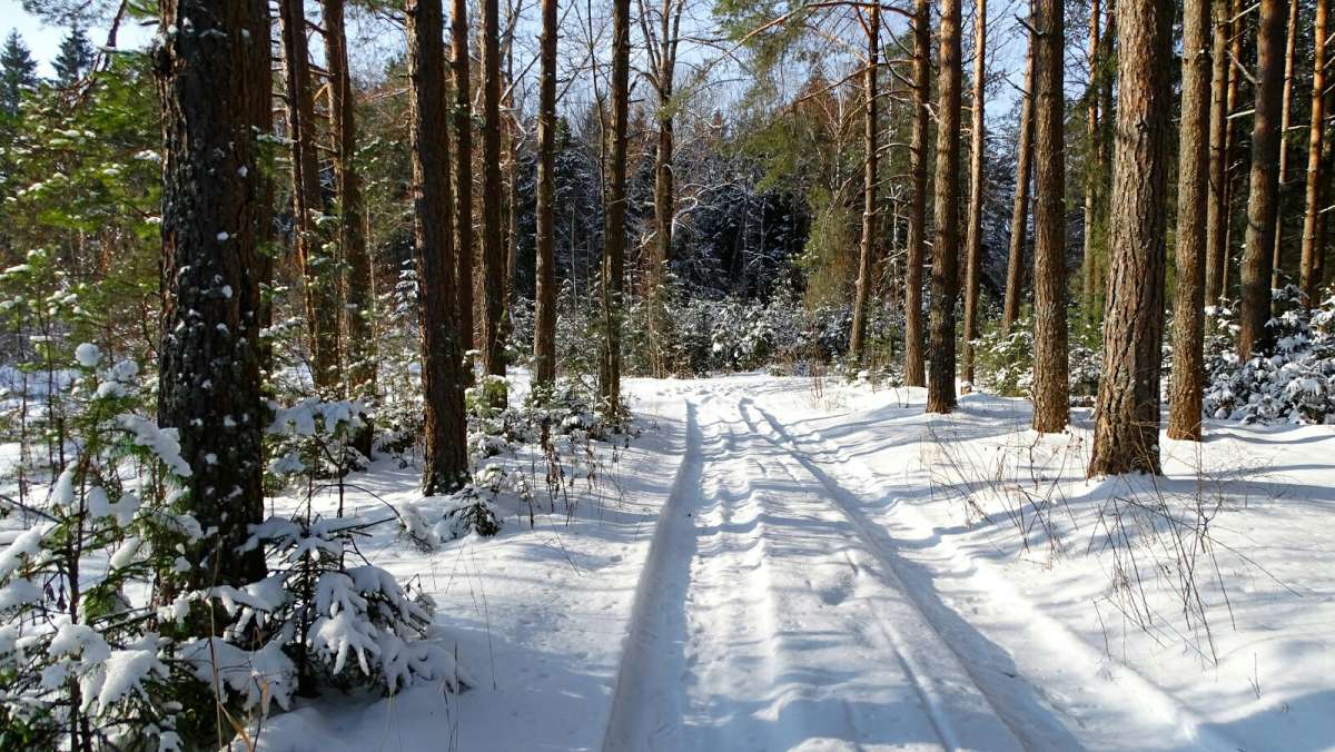 �������� ��� � �������. ����� �������� �������� �� PhotoGeek.ru #������ ��� �������