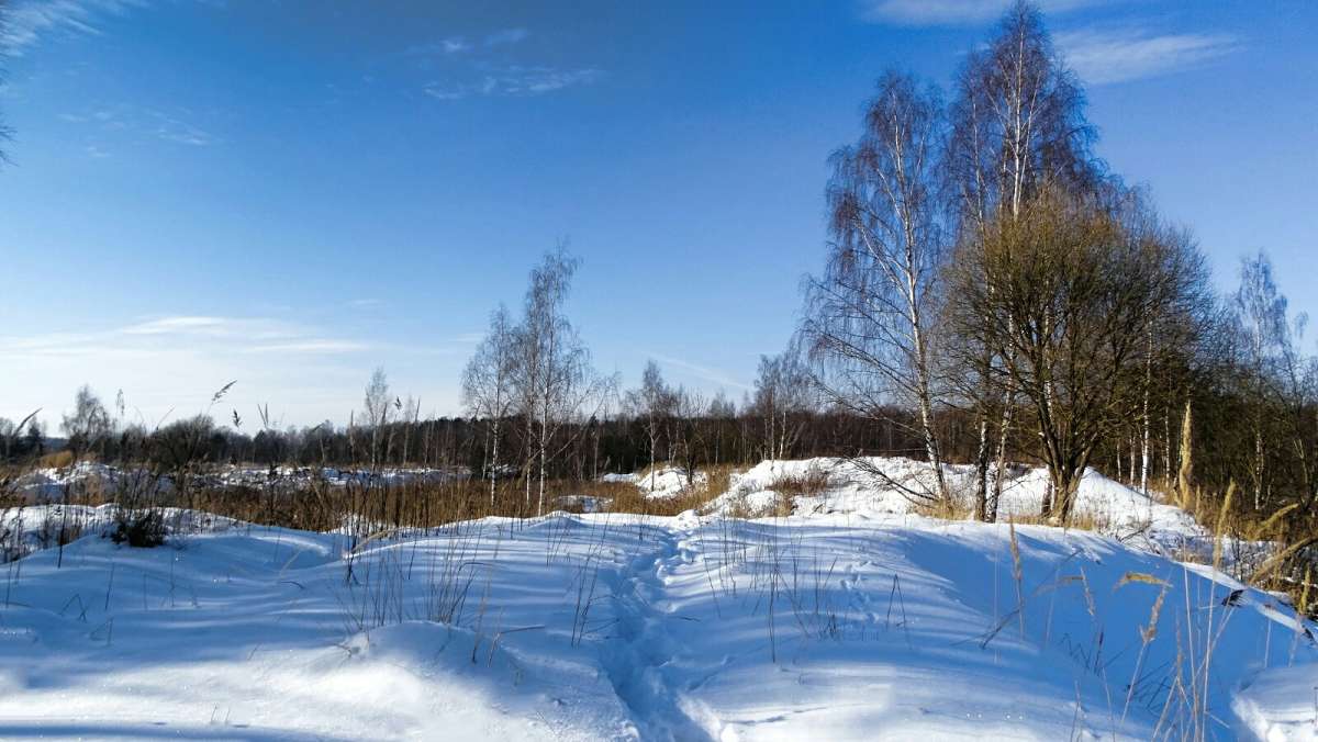 ��� � ���� ������ ����. ����� �������� �������� �� PhotoGeek.ru #������ ��� �������
