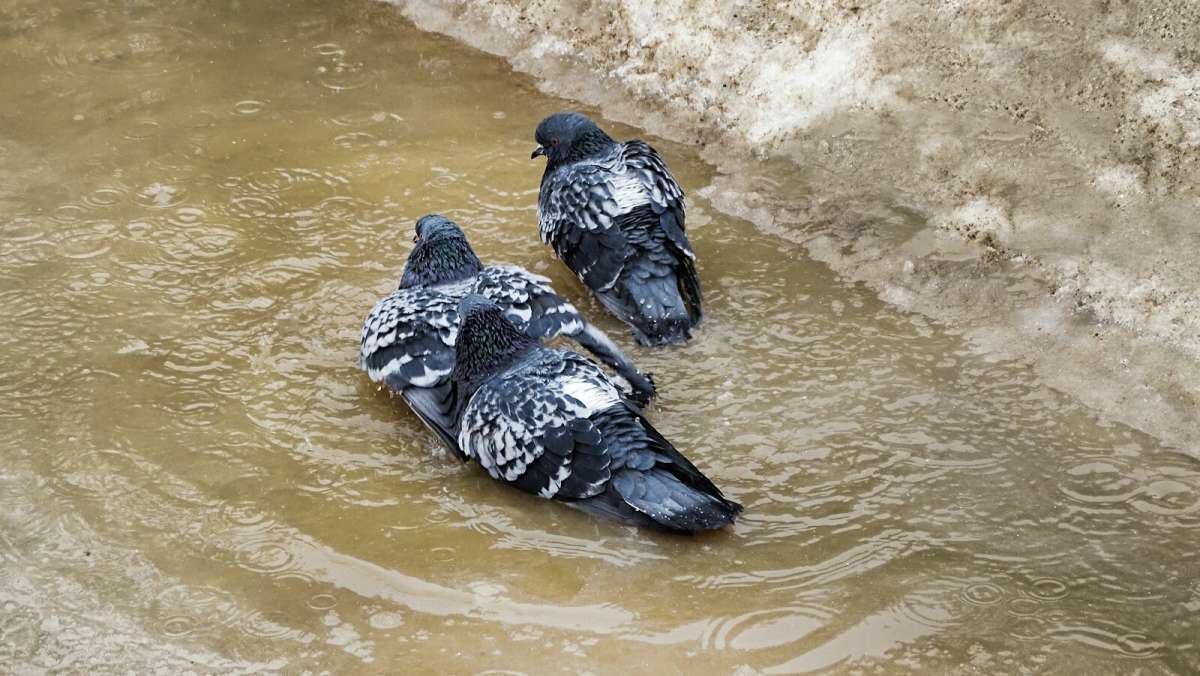 ������ �������� � ������� ������. ����� �������� �������� �� PhotoGeek.ru #����� #�������� ���