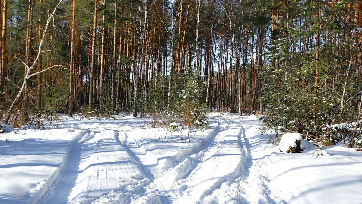 � �������� ���� ��� ����������. ����� �������� �������� �� PhotoGeek.ru #������ ��� �������