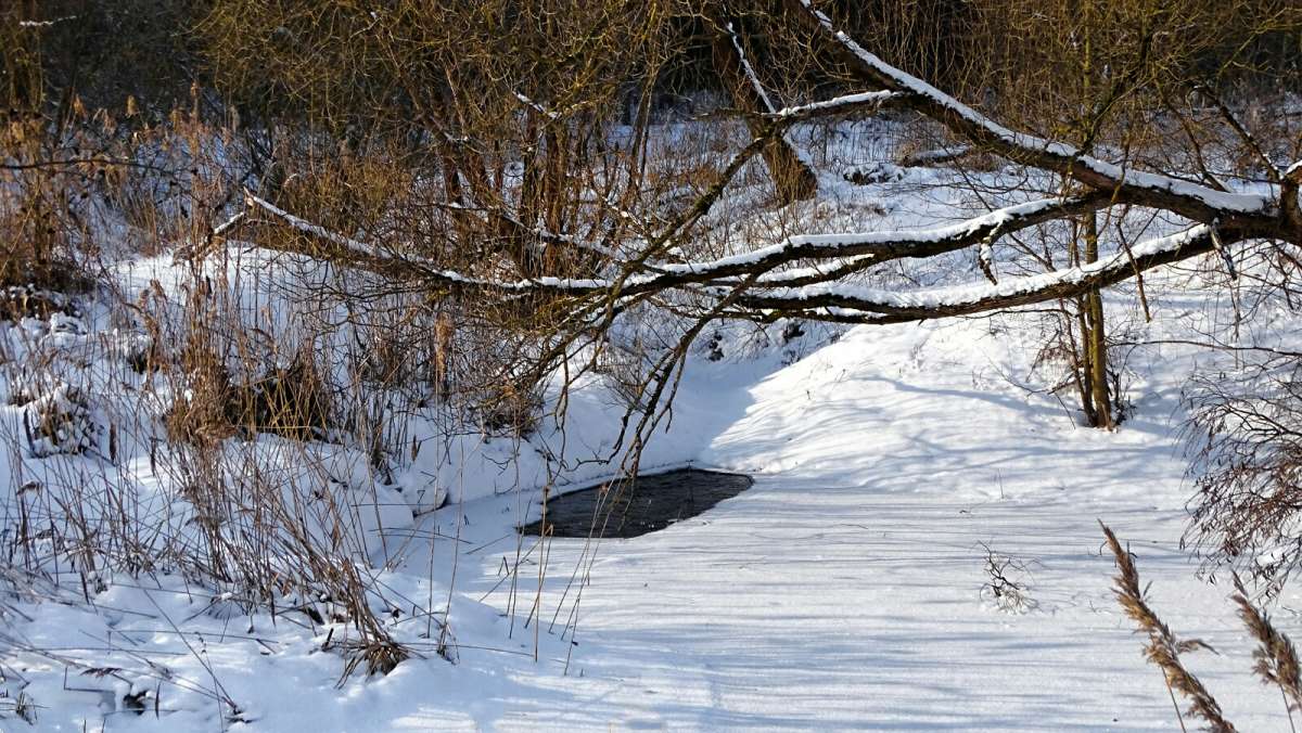 ������ � ����. ����� �������� �������� �� PhotoGeek.ru #������ ��� �������