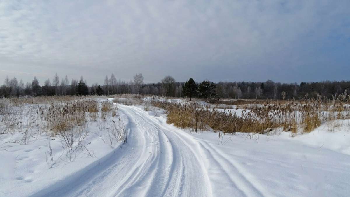 ���� - �������. ����� �������� �������� �� PhotoGeek.ru #������ ��� �������