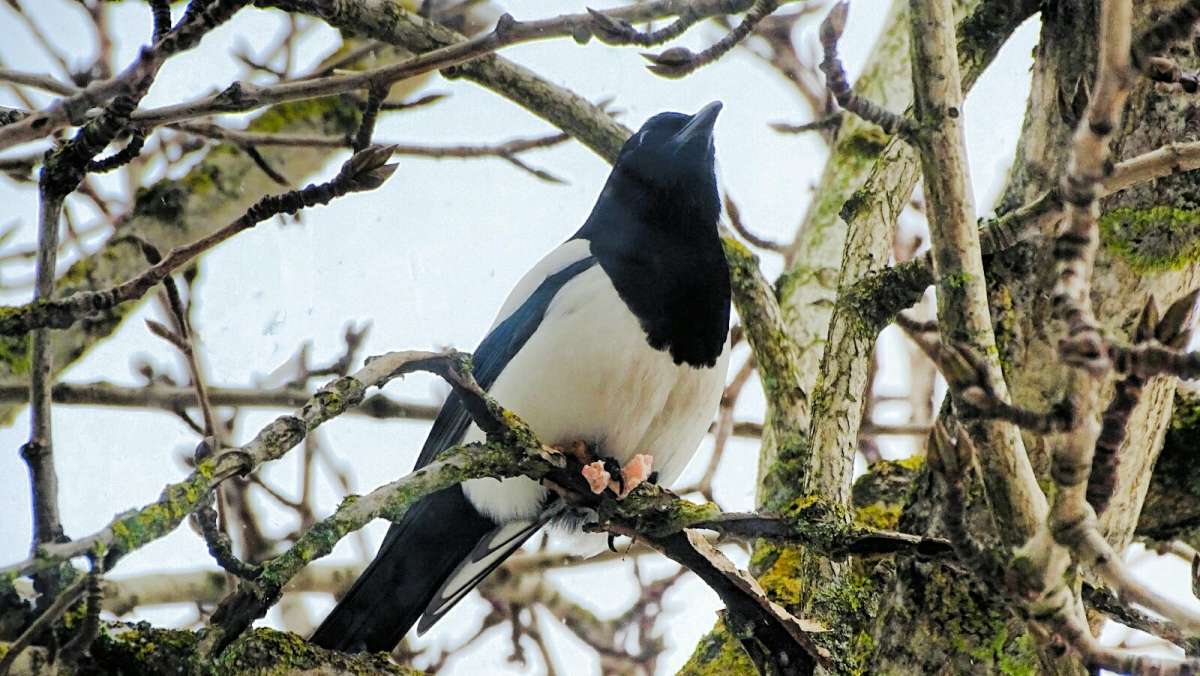 ������ - ��������. ����� �������� �������� �� PhotoGeek.ru #����� #�������� ���