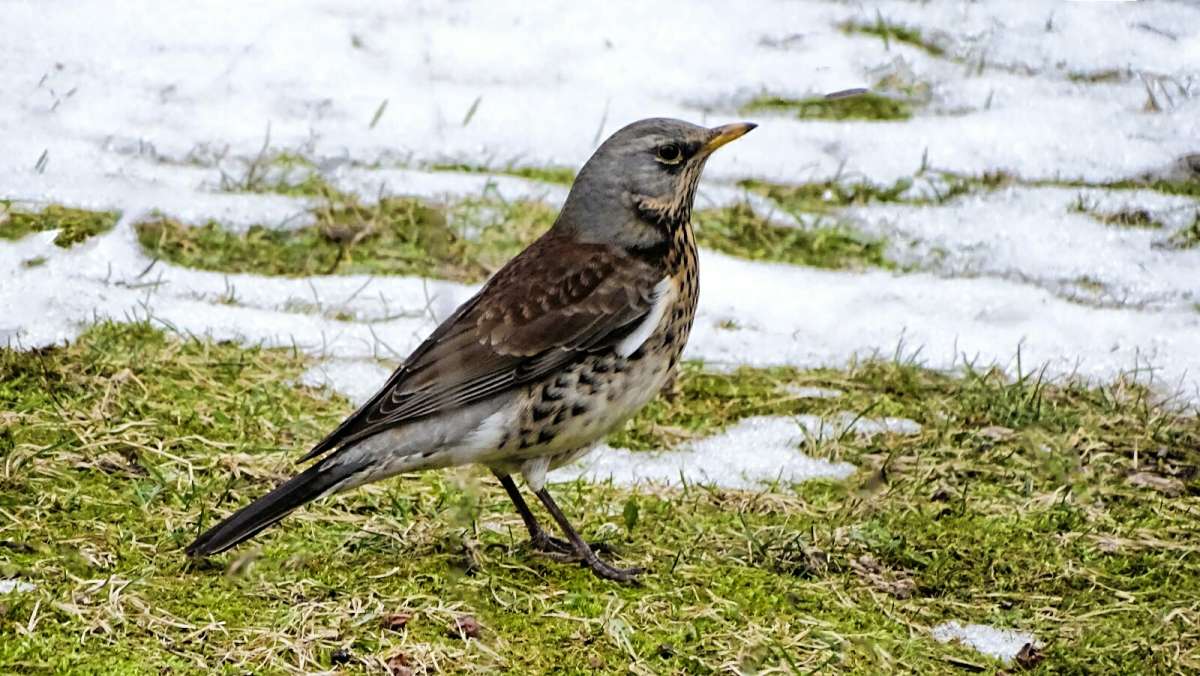 �� ����� �������. ����� �������� �������� �� PhotoGeek.ru #����� #�������� ���