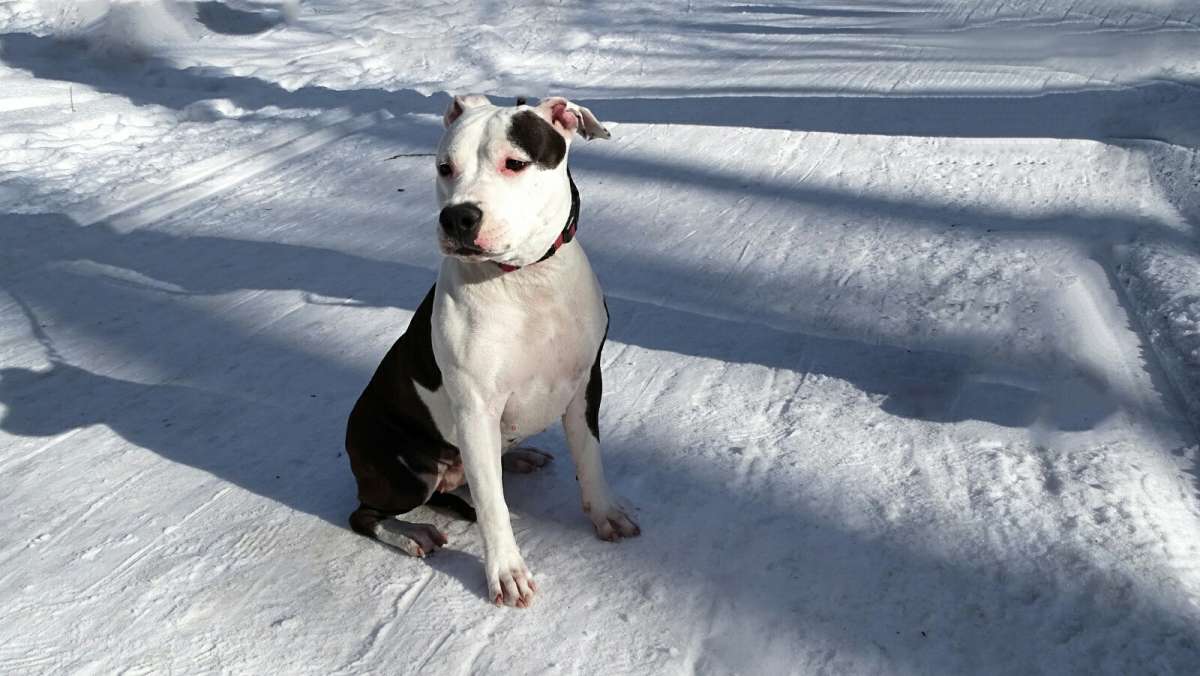 � ���� �������, � � ����� ������. ����� �������� �������� �� PhotoGeek.ru #����� #�������� ���