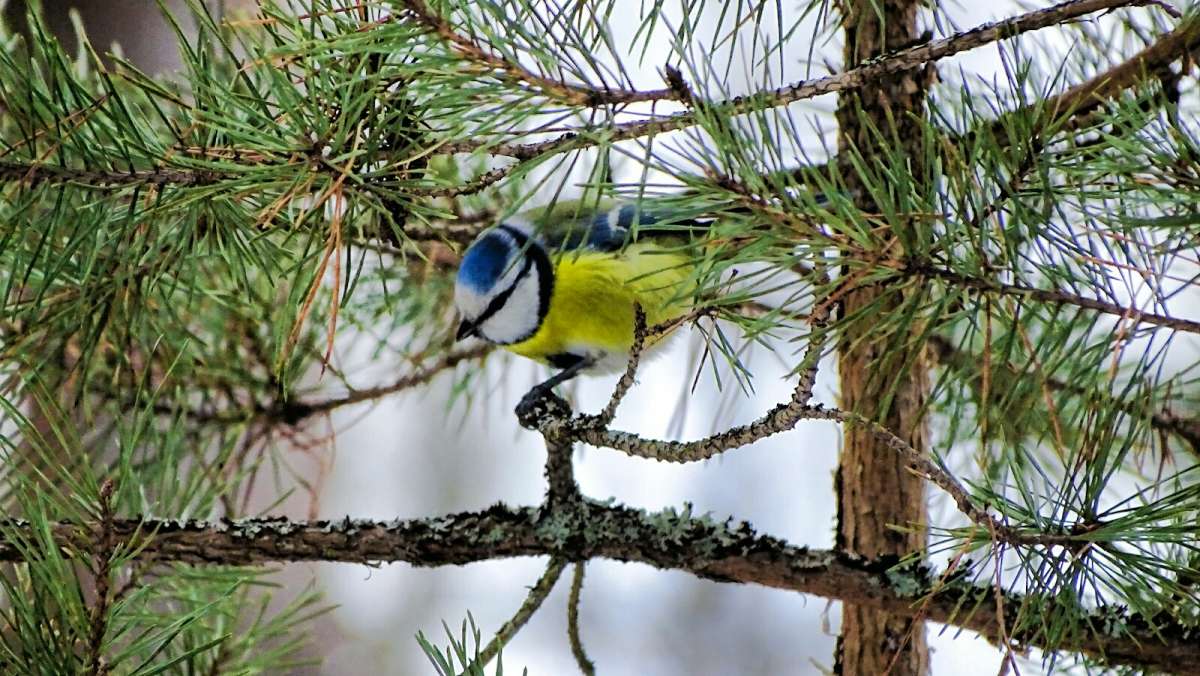 ��������� � ��������� �����. ����� �������� �������� �� PhotoGeek.ru #����� #�������� ���