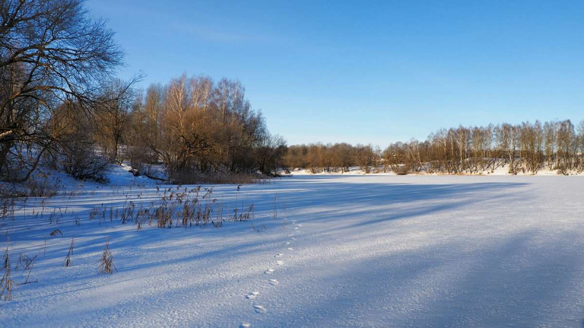 ���� - ������� ����� �������� �������� �� PhotoGeek.ru #������ ��� �������