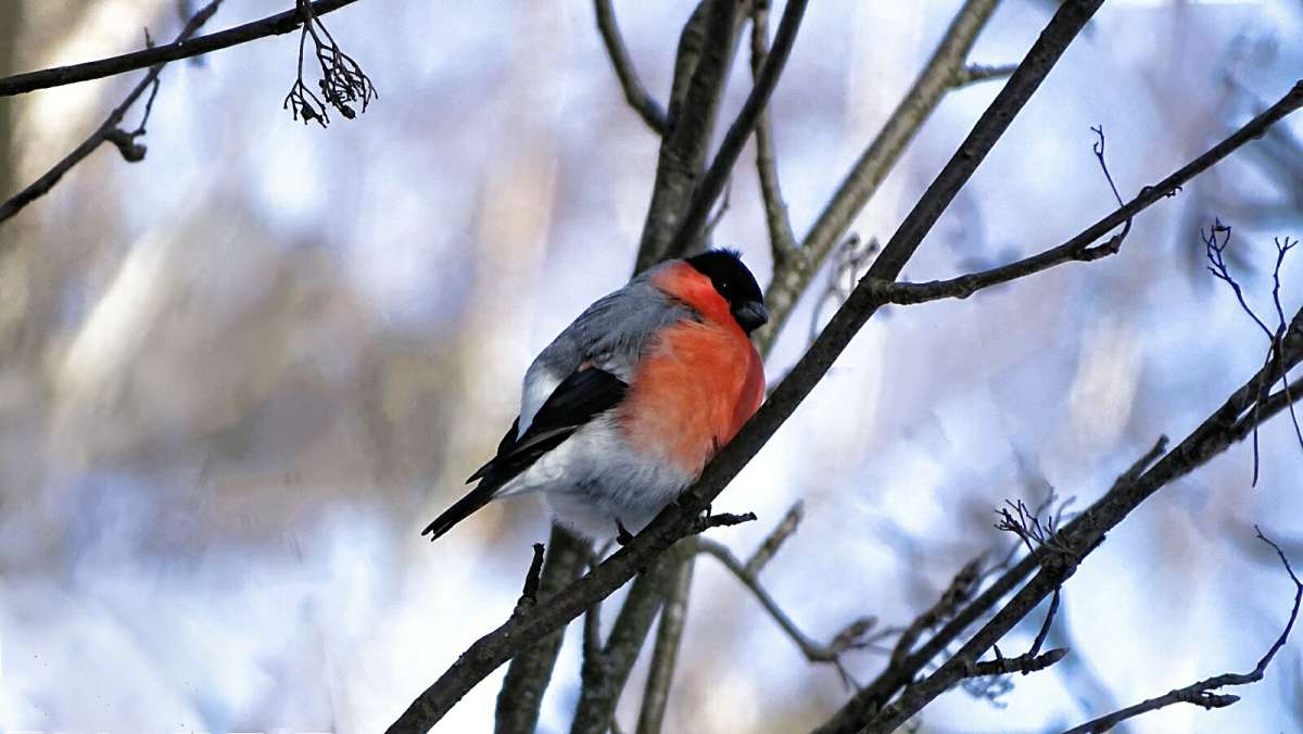 ���� �� ���������� ���������� �� ���������� �� �. ����� �������� �������� �� PhotoGeek.ru #����� #�������� ���