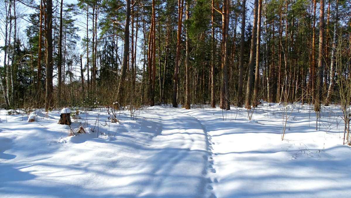 ������ ���. ����� �������� �������� �� PhotoGeek.ru #������ ��� �������