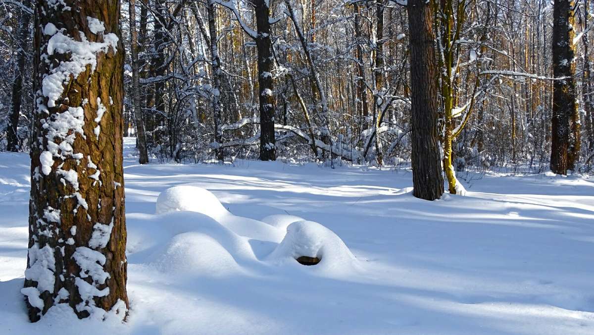 � ������ ���� ��� ����������. ����� �������� �������� �� PhotoGeek.ru #������ ��� �������