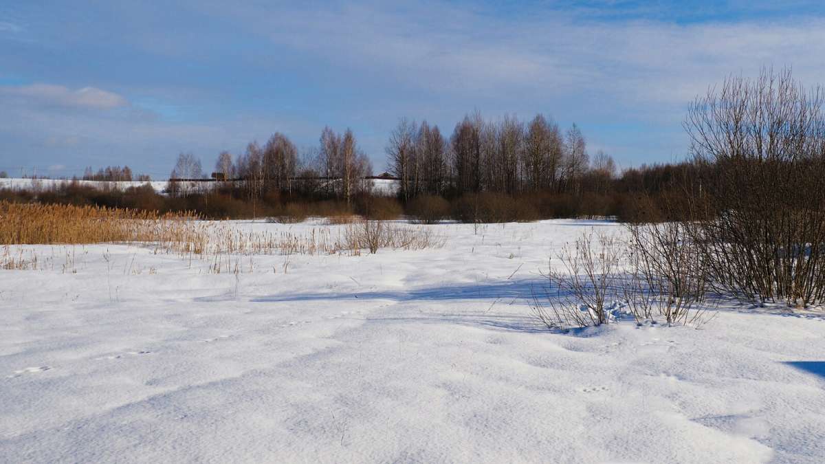 ������ ������ �����. ����� �������� �������� �� PhotoGeek.ru #������ ��� �������