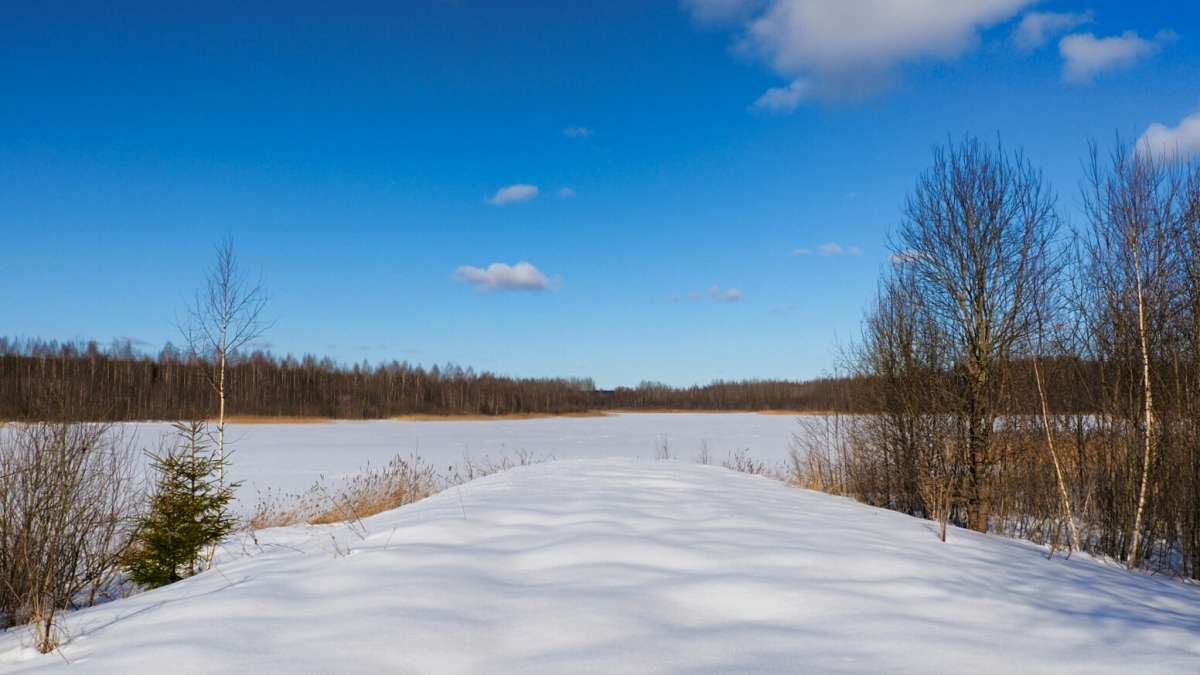 ������ � ����� � �����. ����� �������� �������� �� PhotoGeek.ru #������ ��� �������