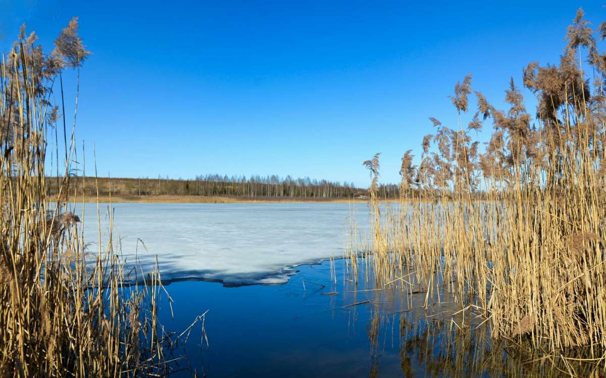 ���� ����������. ����� �������� �������� �� PhotoGeek.ru #������ ��� �������