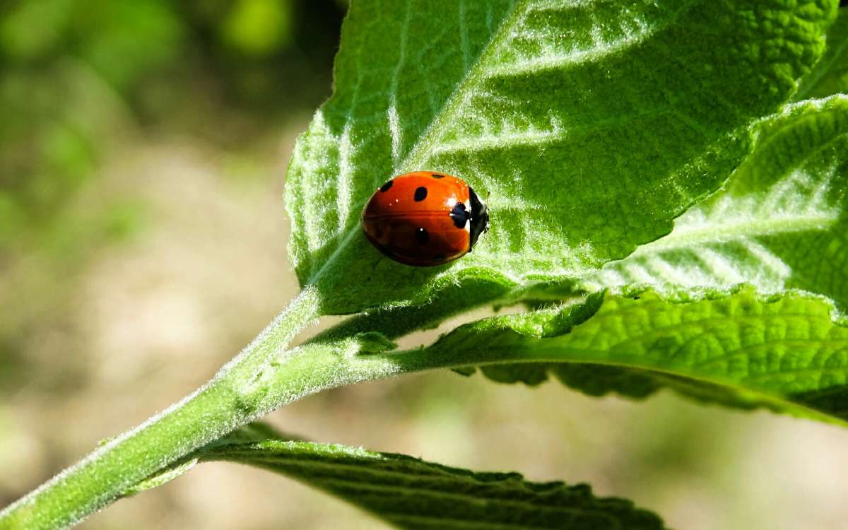 ����� �������. ����� �������� �������� �� PhotoGeek.ru #�����