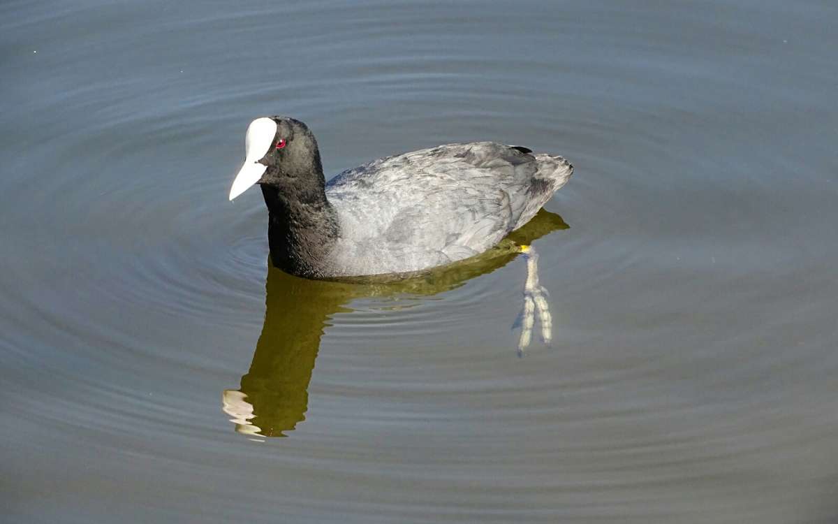 ������. ����� �������� �������� �� PhotoGeek.ru #�������� ���