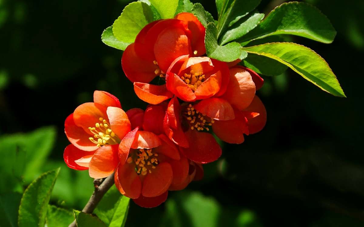 ����� �������� ����. ����� �������� �������� �� PhotoGeek.ru #����� #�����