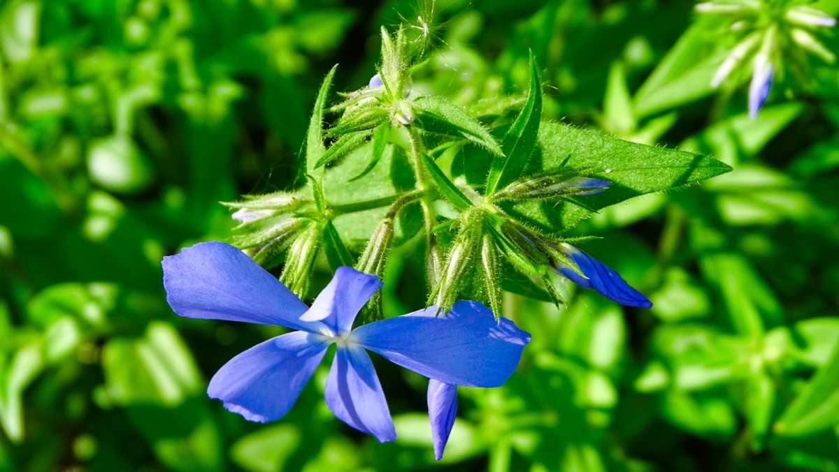 �������� �����. ����� �������� �������� �� PhotoGeek.ru #����� #�����
