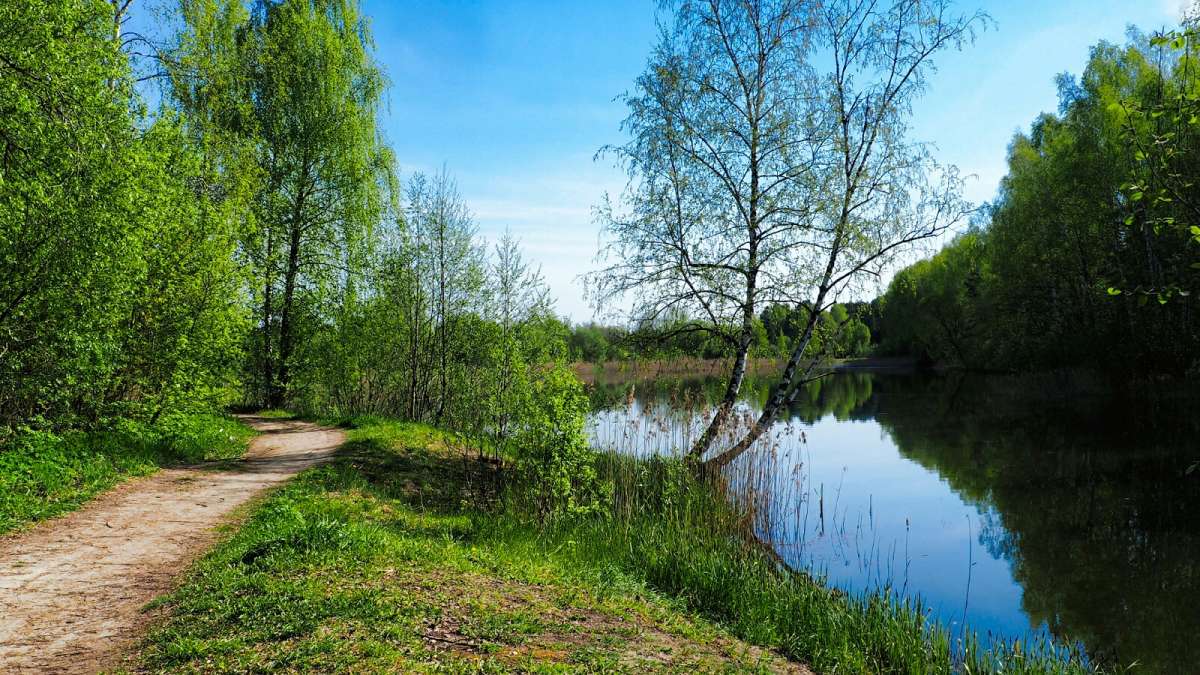 ���������� �����. ����� �������� �������� �� PhotoGeek.ru #������ ��� �������