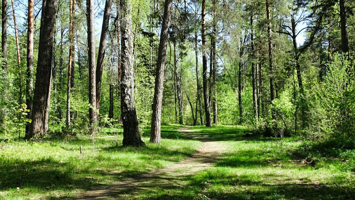 � �������� ���� ��� ����������. ����� �������� �������� �� PhotoGeek.ru #������ ��� �������