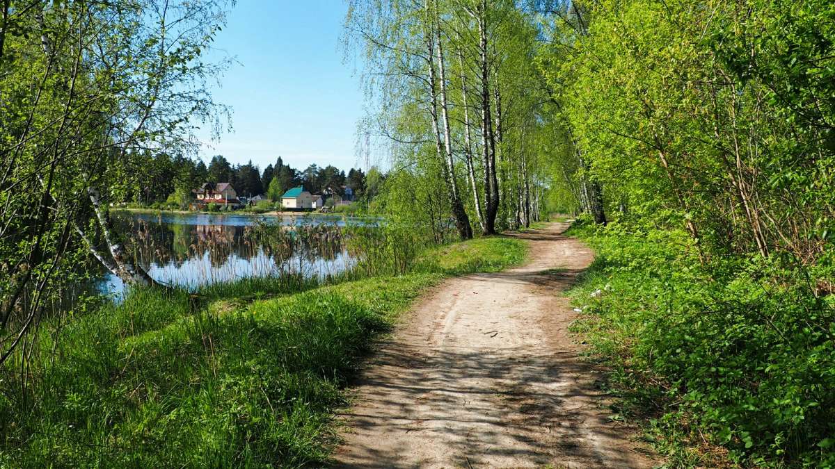 ������ ���� ���. ����� �������� �������� �� PhotoGeek.ru #������ ��� �������